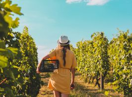 Œnotourisme : 5 activités pour vivre l'été avec le vin !